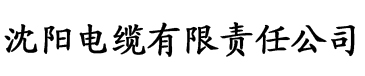 风间由美bt电缆厂logo